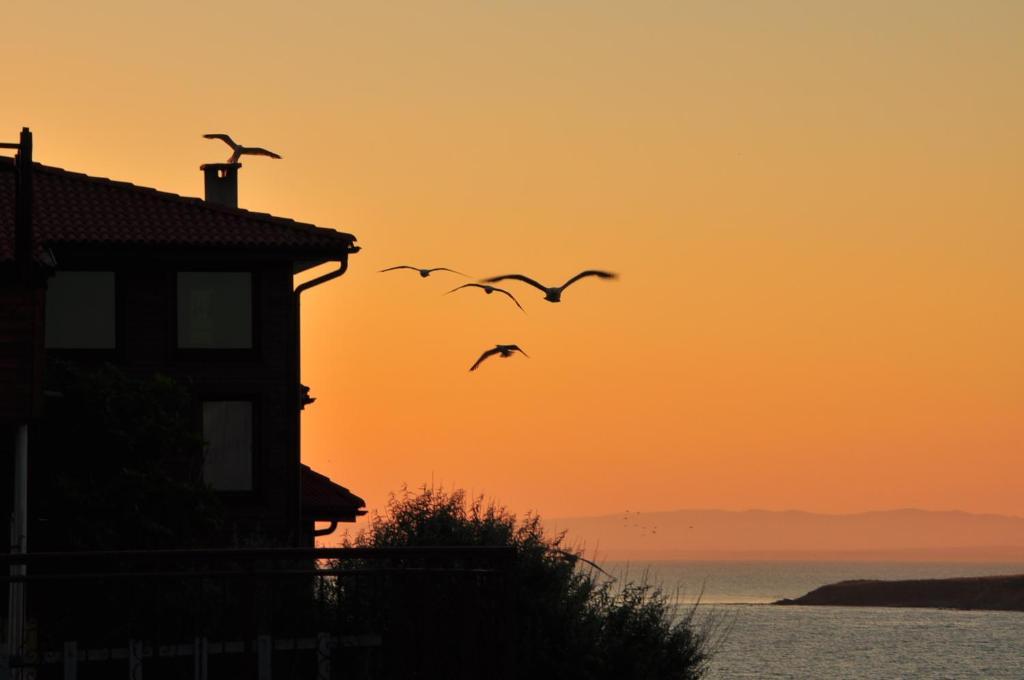 Deep Blue Guest House Szozopol Kültér fotó